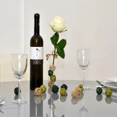 Apartment Zagrebacka 13 *